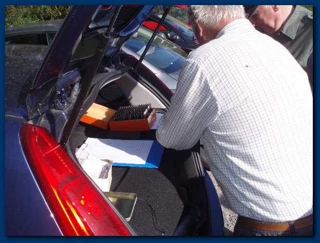 600x449 pixels (141K)